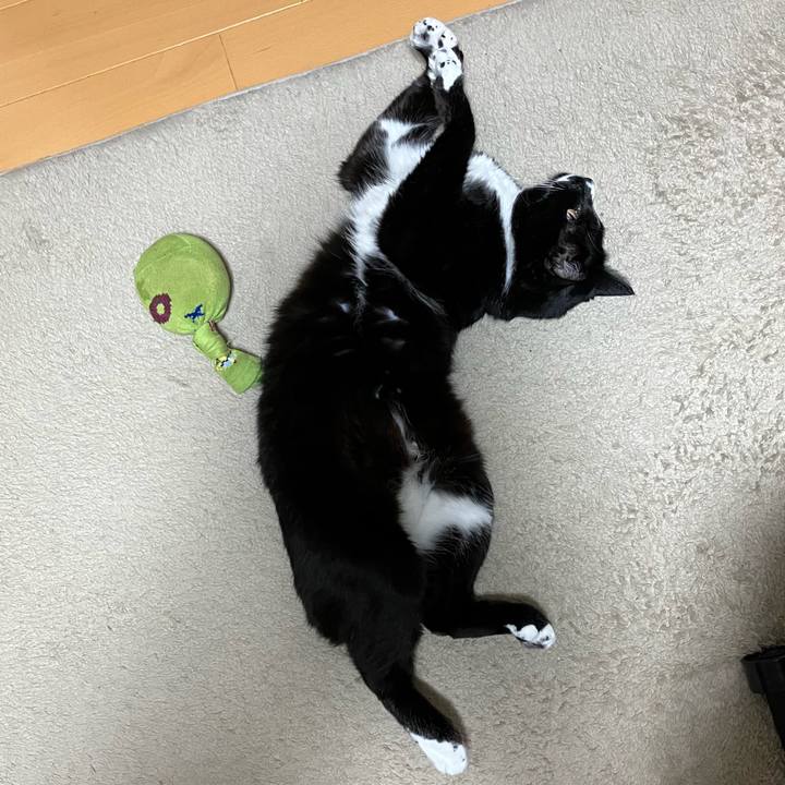 E03036de 204e 4da5 8322 b5b01810dca1 1755579212059