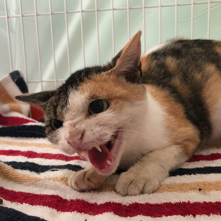 E0303927 342f 4cfc 8f78 772ae31345cf 1569804408869