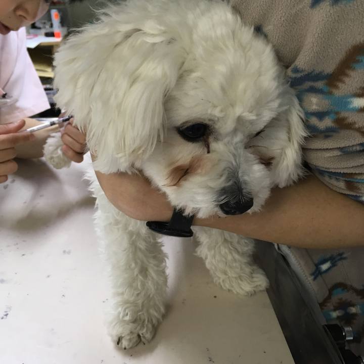 E03069de 4ed5 4d79 a7d7 74aa2feaa345 1548135265967