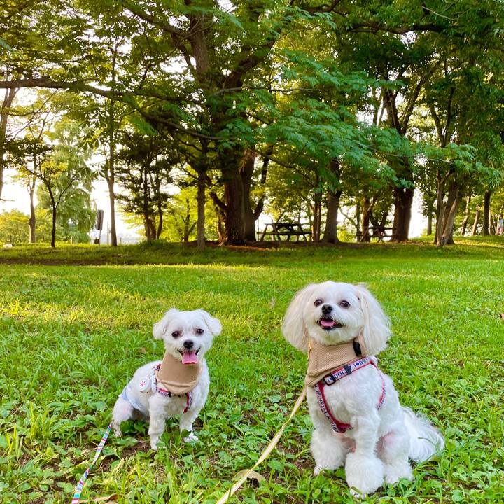 E0306e44 c0a4 4b53 b90c 936f8f721ea7 1627875112044