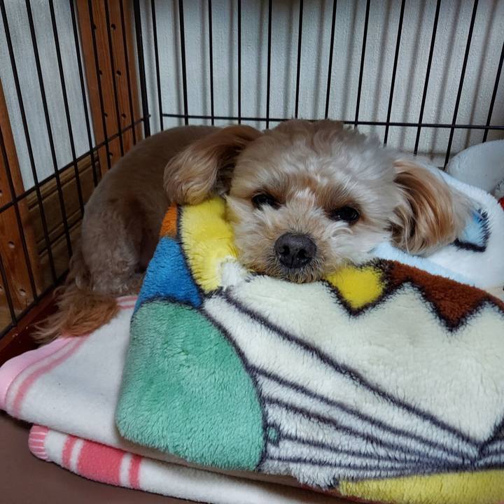 E030a125 ce23 4f9b bf5b aab1e94fc71f 1641641760684