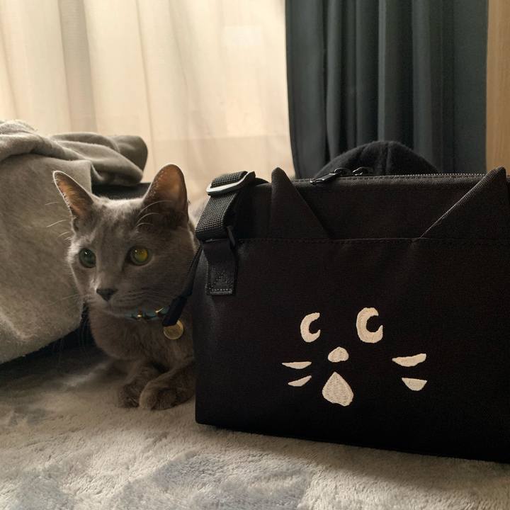 E030b21e 8fed 4a86 99e8 7957a2abdbaa 1611378388981