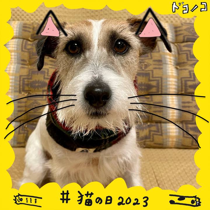 E030d657 e8aa 4c16 8e3a eab47b549565 1677026000390