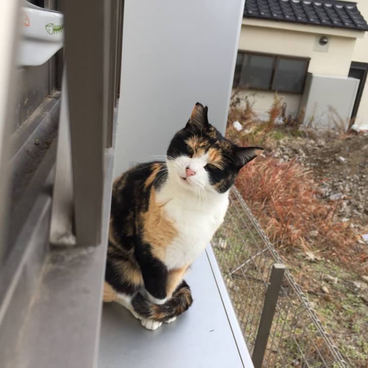 E030ec78 c55a 4602 9f03 72c74a9cc8f5 1514540148844