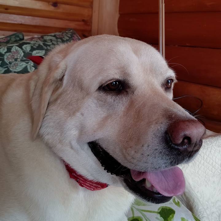 E030efb1 927b 4a43 adb8 ce01e7a6efae 1599520459981