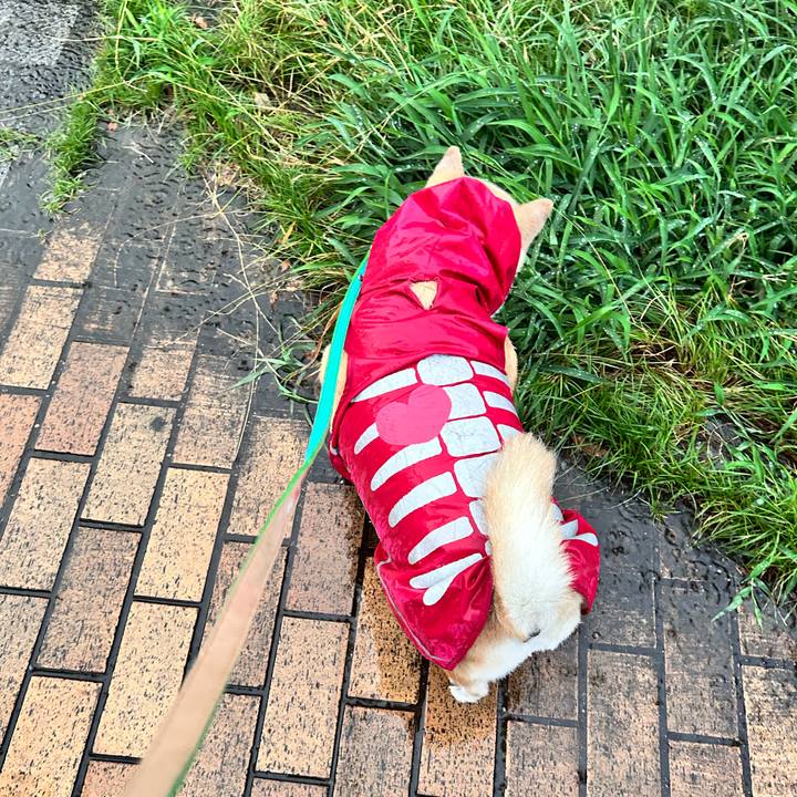 E03106d8 9faf 45e2 b95f 36e57b0442a0 1752573927573