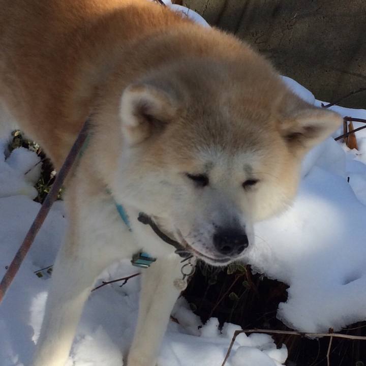 E03121f2 d430 4385 908e 367a9432f677 1516883368043