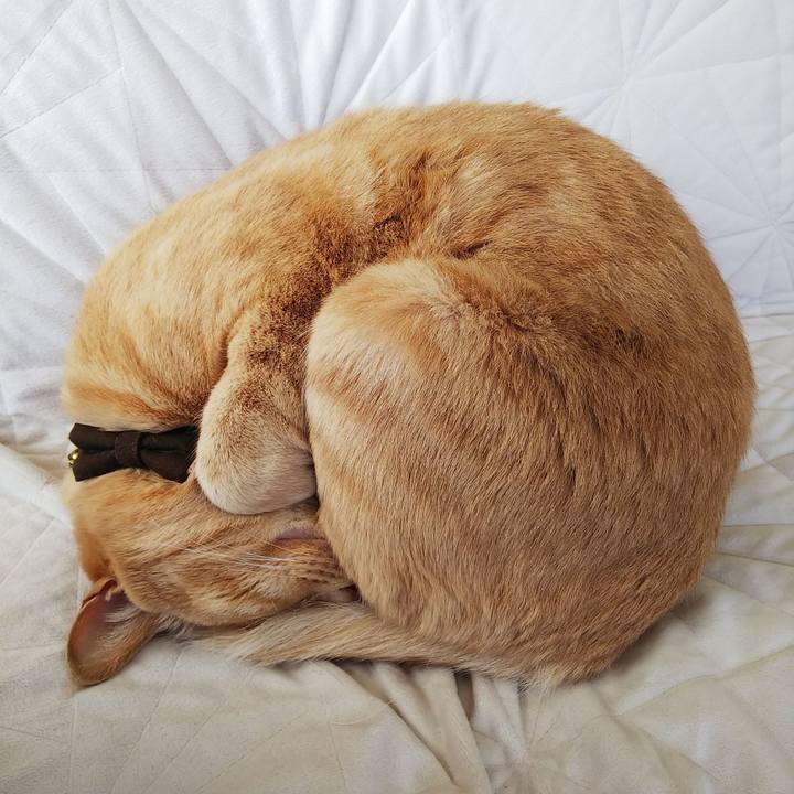 E0312443 8607 4114 b7a2 541c1f16a514 1618890579426