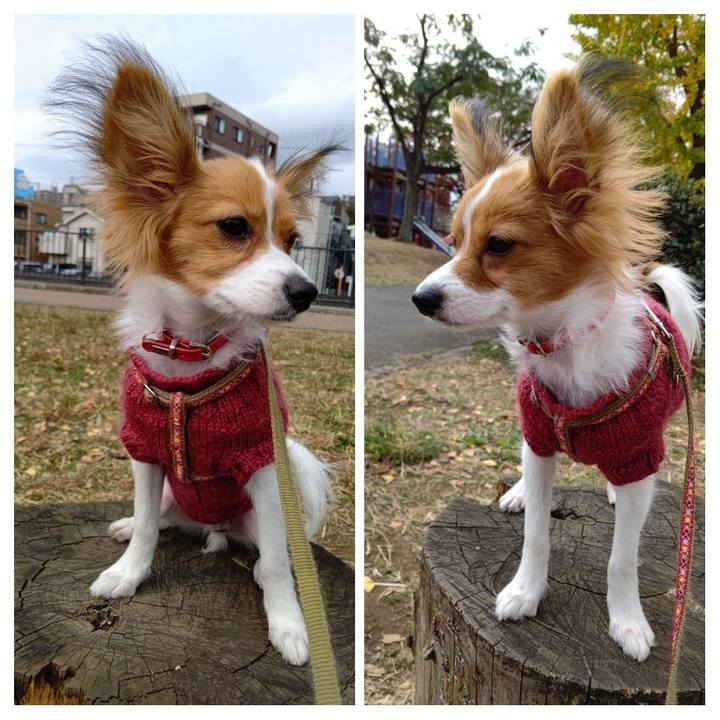 E0314dbf 5a82 4821 8182 2398018bee94 1606639869279