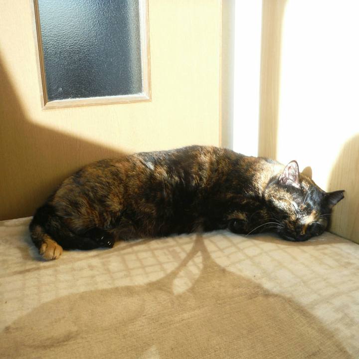 E031628a 000f 4322 81fb ef0e583ba394 1514615719361