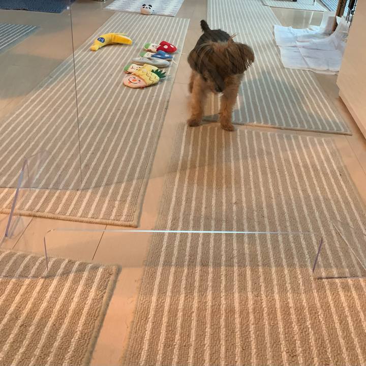 E031db96 69d0 46f2 a2f6 40a3fe73da37 1640298371466