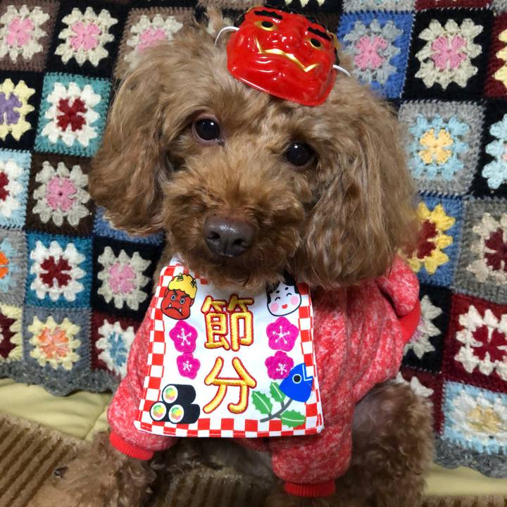 E031fc99 2ff5 437c a091 a219d6e97a56 1549180916827