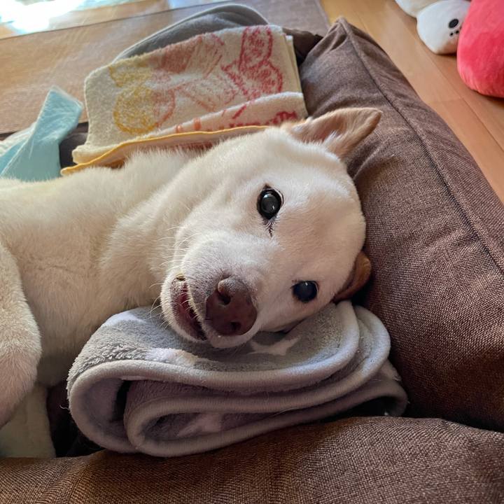 E031fd8b ac15 4cd3 ac9d c2378501278a 1666288198274