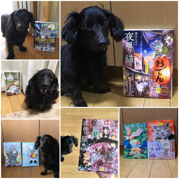 E0324cf2 82e1 4530 af72 184c372b8ec9 1574418393058