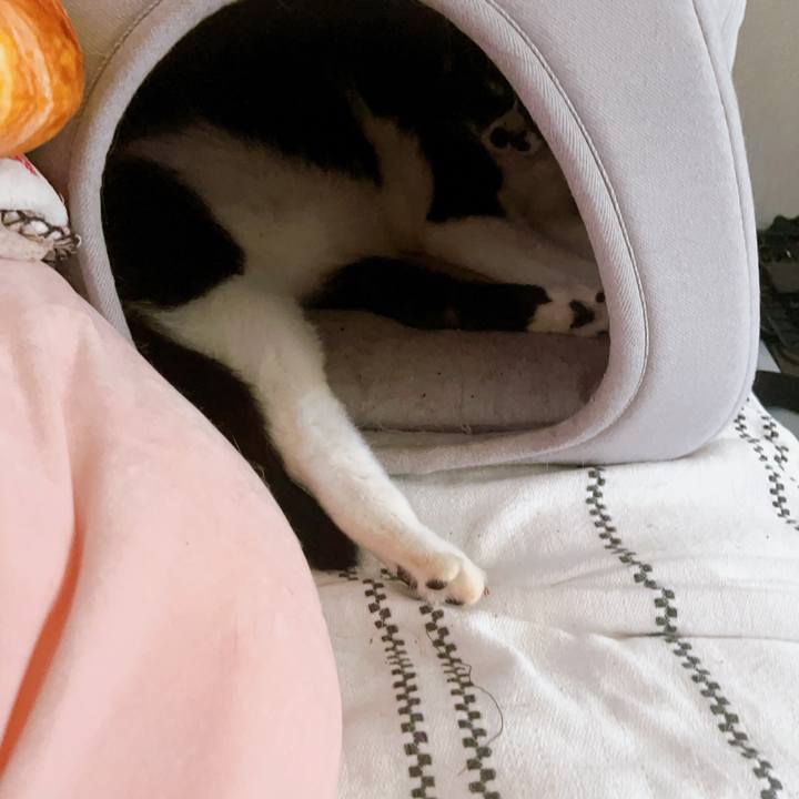 E032722e c8e4 438a 9614 bb7ea082f24e 1690983019391