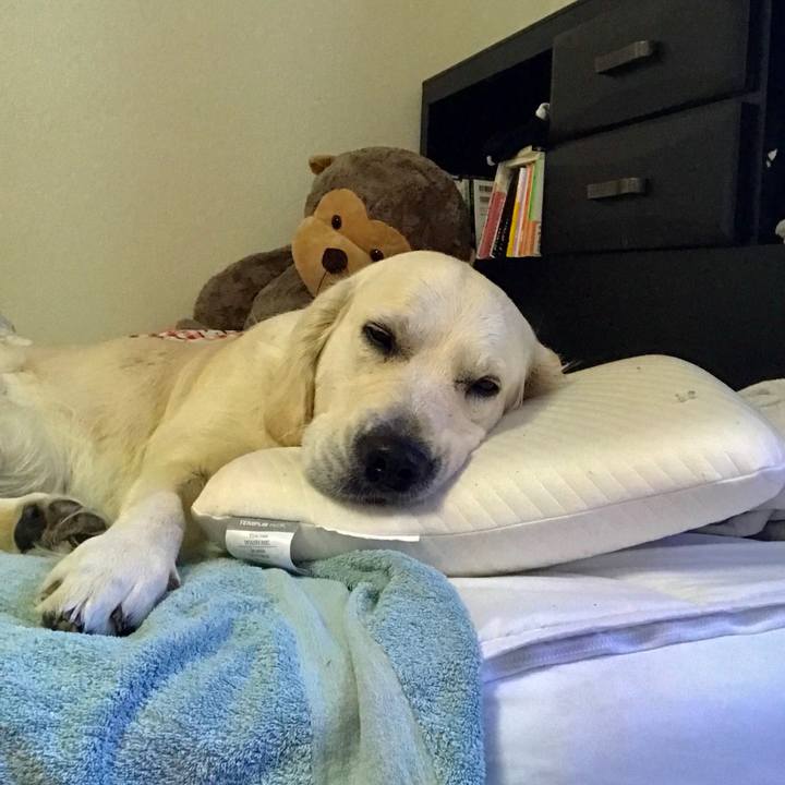 E0329619 7551 4225 b9b6 bb2b0dcd91d1 1549957901709