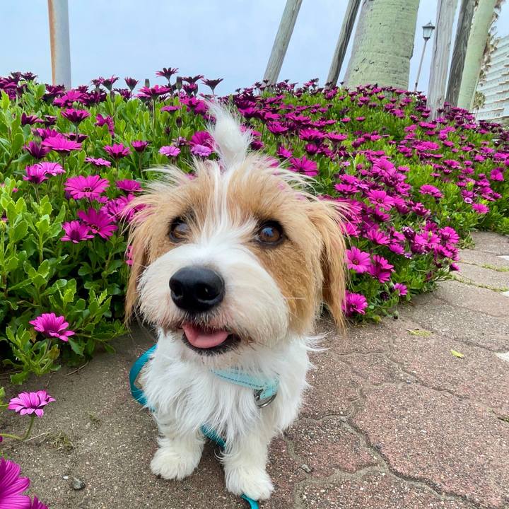 E03321e3 34c8 4ee8 9ddc 6a2fc8d90cc3 1776905655769