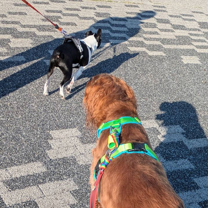 E03327df e2d4 4189 a950 8f5abad84e12 1759501639218