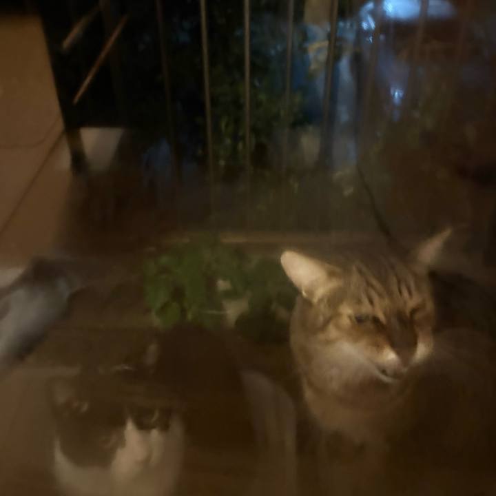 E0335152 33c6 4a56 b236 3166baba569e 1761992040662