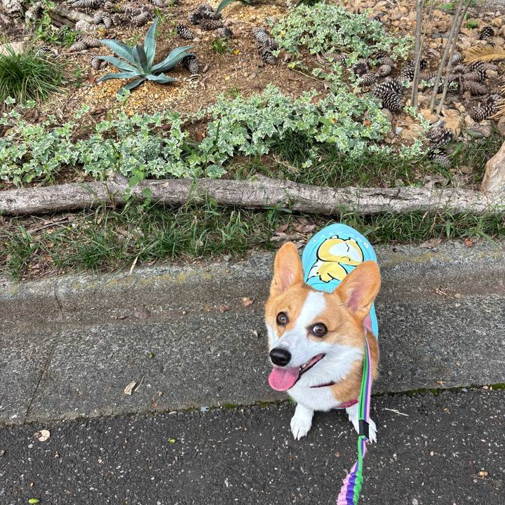 E03374da bf88 42de ae37 4e1d4571e86b 1759541142049