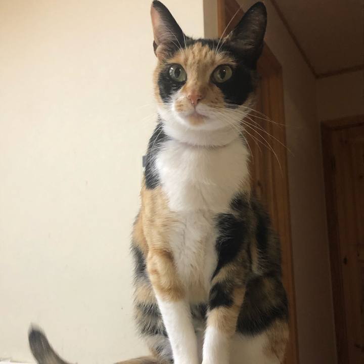 E0337cd3 beaf 4595 b49b 785588aa75e4 1558395591767