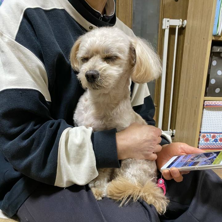 E033e93b 8a01 4f4d 8c36 fb0f9659881d 1607342523087