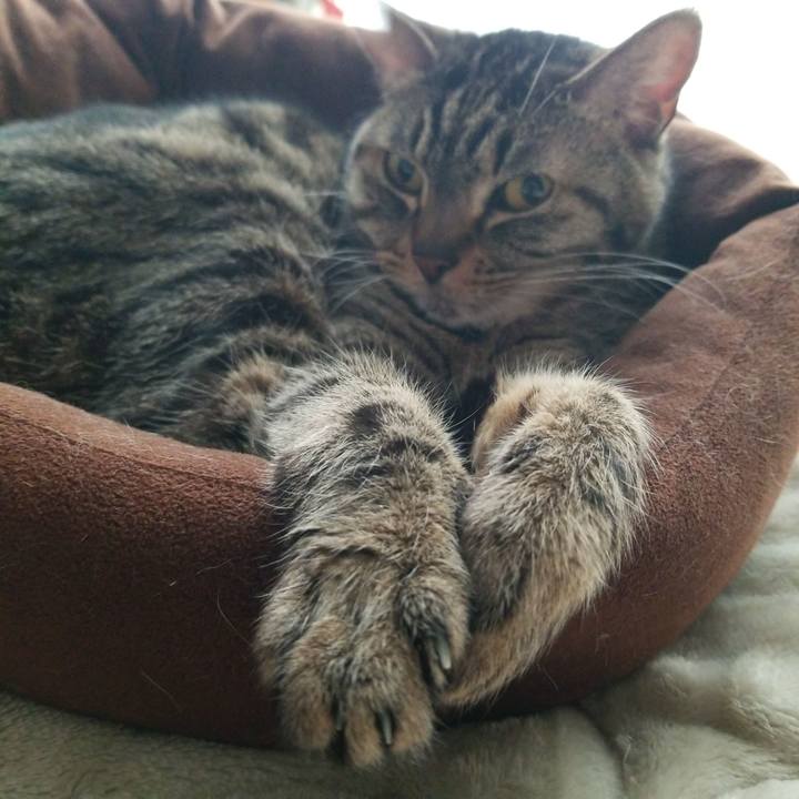 E033ebf6 14fe 46ad 87bd a79082b51706 1584827060504