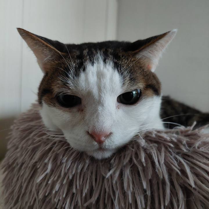 E033f19a dbf3 4e2e b6e0 8497d3f3e06d 1731649473541