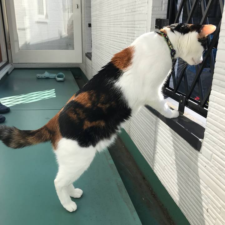 E033fa77 243a 4fc4 ae89 42c0e949f9c7 1509670852428