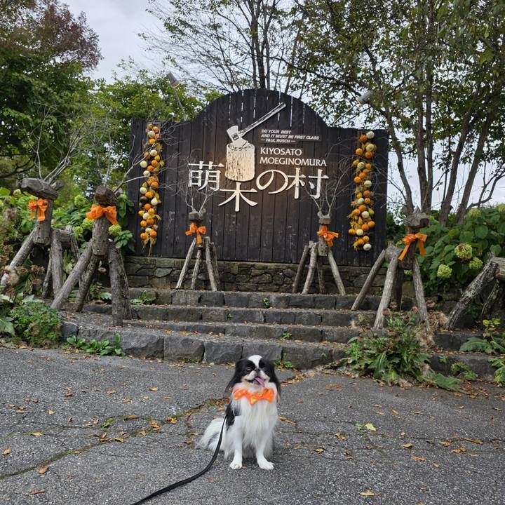 E03405b3 26c0 49c3 916d 2f60dbf2f4ae 1759921787093