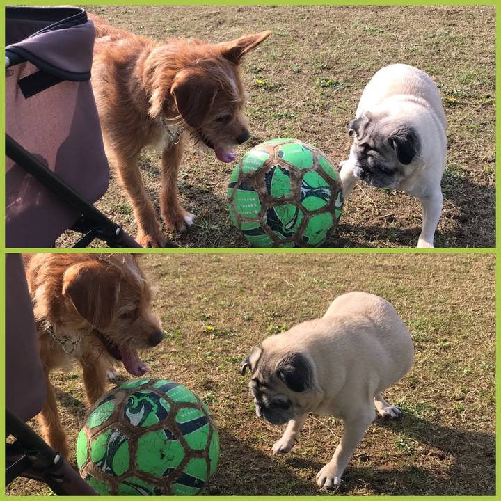 E034091e 1703 4b92 8f45 d2ad84d4d474 1588117764991