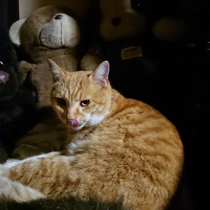 E0343ddf 24c0 4f45 aef9 904036c1a2e2 1605786524864