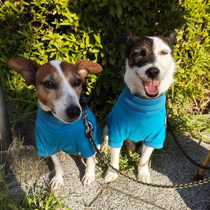 E0347e44 cc94 4745 bc84 faeb4385856e 1753912808631