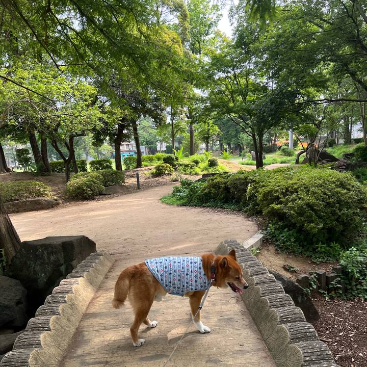 E0348646 7099 4301 b504 f9c532bfd0dd 1751762478655