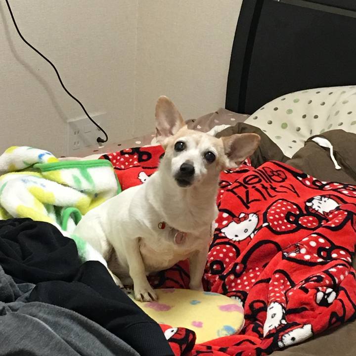 E0349867 abca 4a1b ad2c 2fb85cb96504 1542098267290