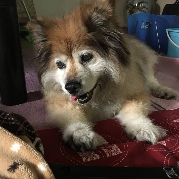 E034b67a b708 4a38 a669 8c41b2f88520 1599894672696