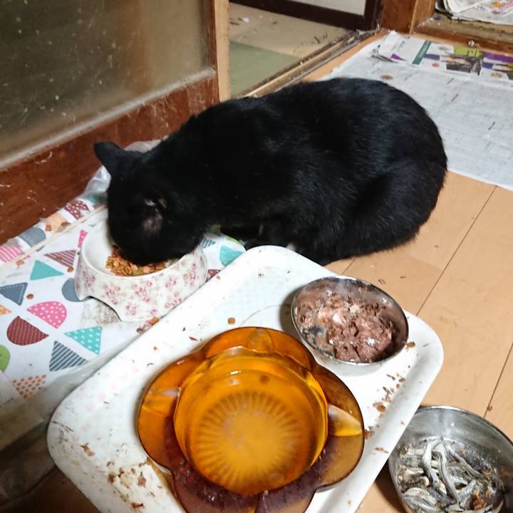 E034beb2 20c3 497f 868b 9cb36b4085c8 1633092075880