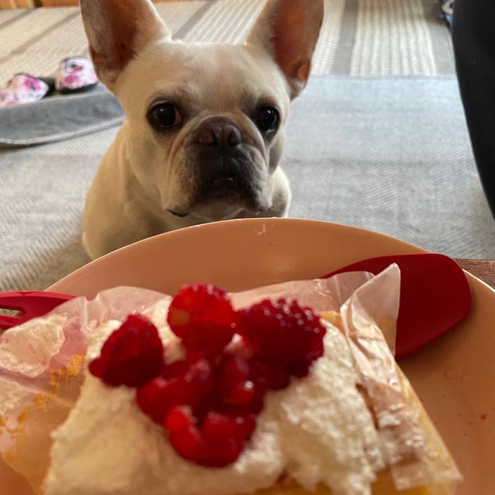 E034ded5 ba87 466a ba8d 09c064e5b7c6 1750461641562