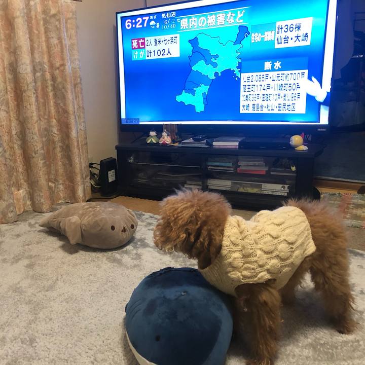 E0351adb 92b8 44d5 8818 16b93cb725e4 1647611084236