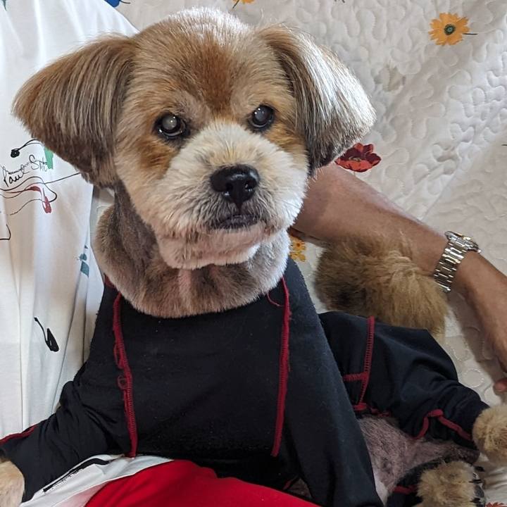 E035278b e99a 42c6 8f76 8b835890a44e 1688963794963