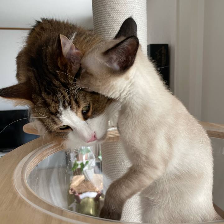 E0352c10 1ee8 4699 9c52 23a7f80d9a4d 1691206032100