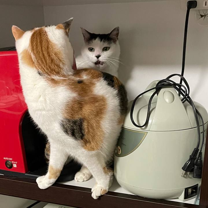 E0358549 08b8 47e8 894e 2a9dc5643227 1606920801844