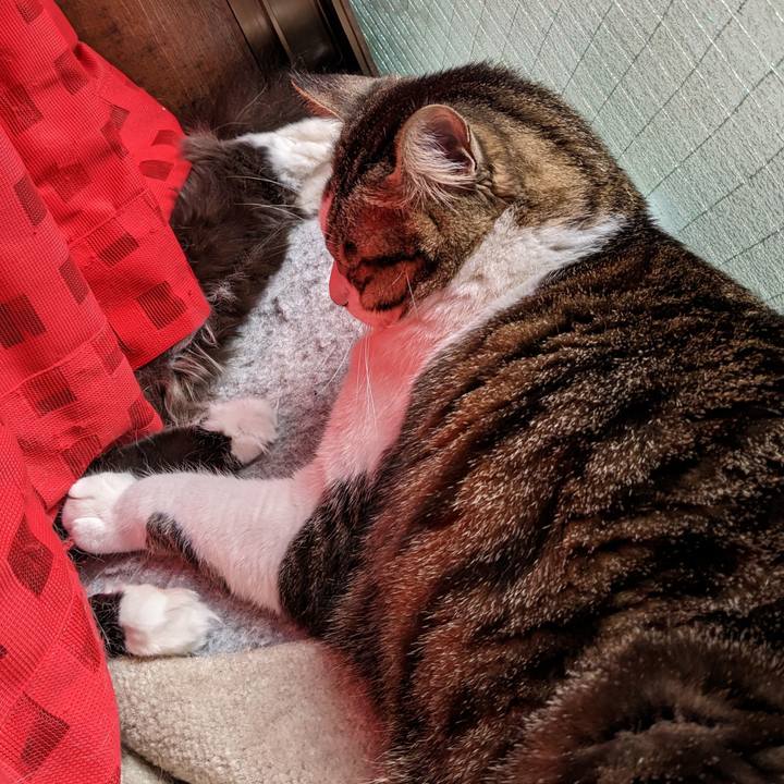 E0358b51 4af5 4dc3 8d23 2999a44a4034 1677383994075