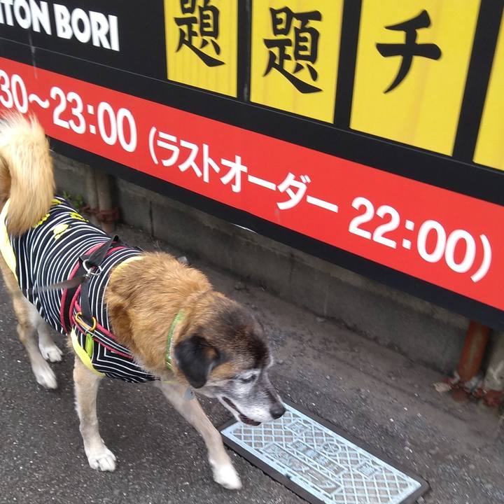 E035b5f3 24da 438f a7e7 d1f3bd13653f 1571874574483