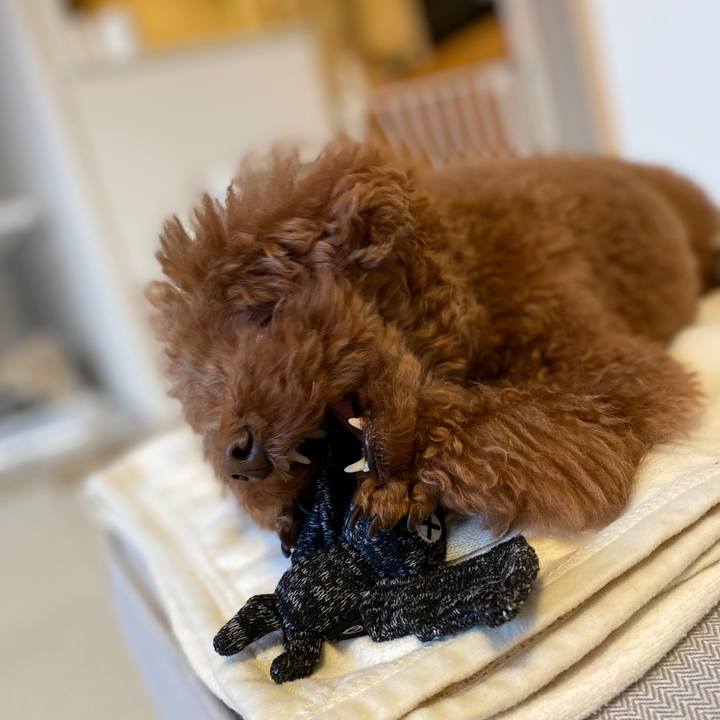 E035bfcf e98e 427f b076 221a9f90e541 1586336416843