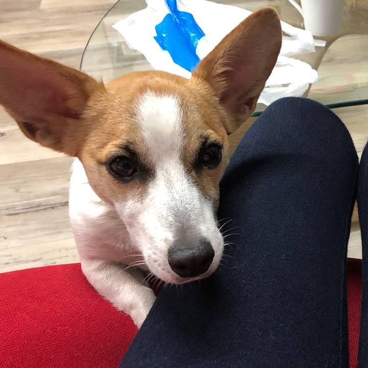 E035c113 d2e5 4e99 bc61 2f2e3f3a5deb 1560519945070