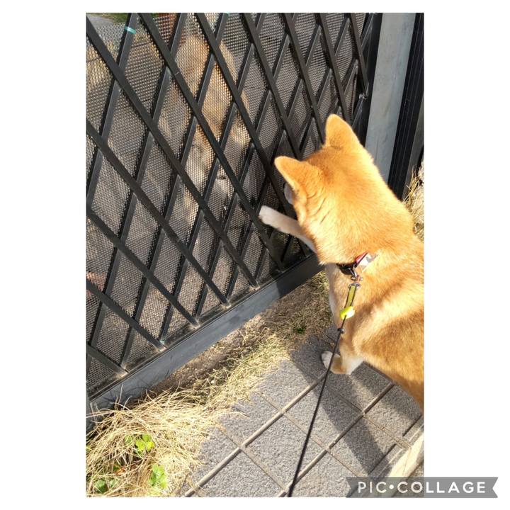 E035e4cf ef99 4e33 9cfd 0d43ae2e5e51 1681431230095