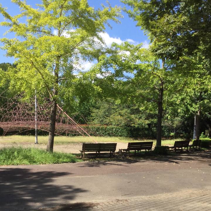 E036784c b06e 46ef 8930 f435cccb366a 1568869748827