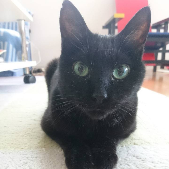 E0367ea0 bf9c 48ba bf21 c6e7828bd5dd 1527631005889