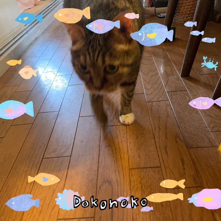 E036851f 8b0c 4801 b015 7f612ca7bbee 1755214468441